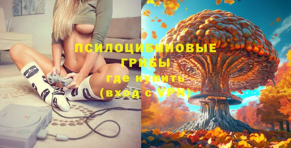синтетический гашиш Алексеевка