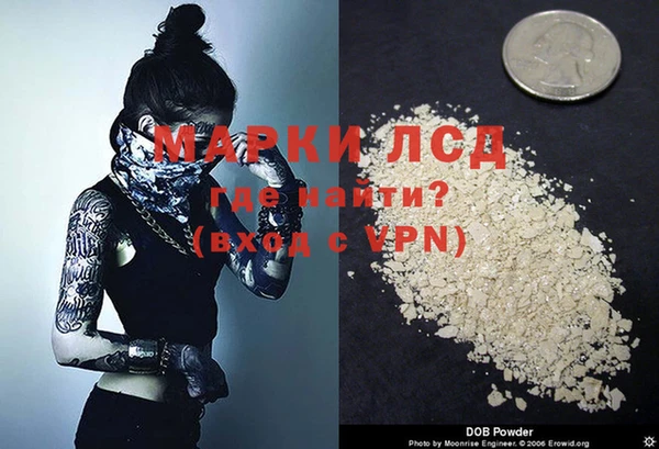 крисы Алзамай
