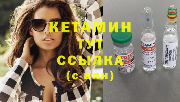 крисы Коряжма