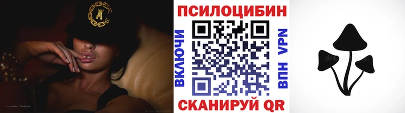 Галлюциногенные грибы Magic Shrooms  магазин продажи наркотиков  Хвалынск 